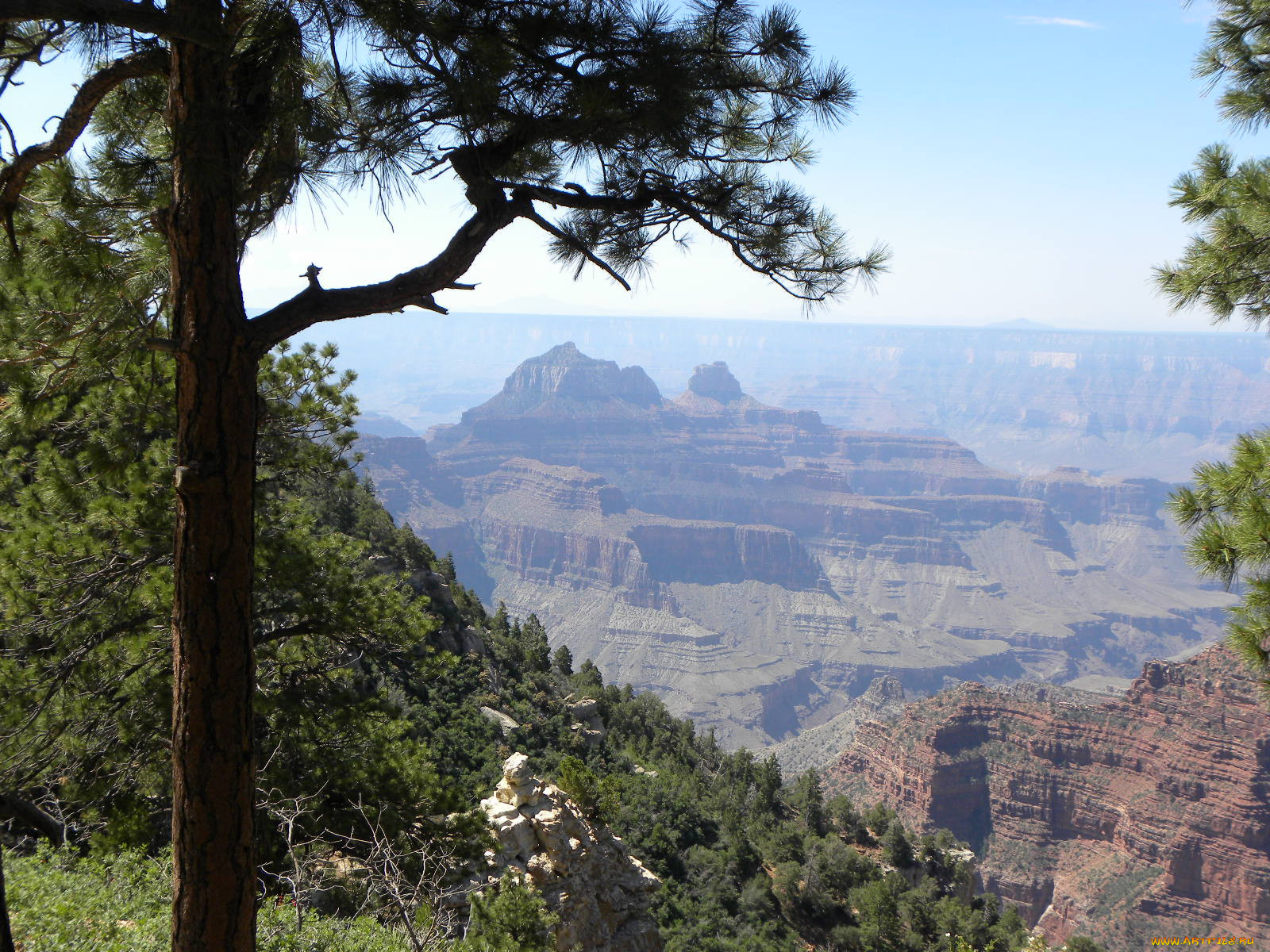 grand, canyon, , , 